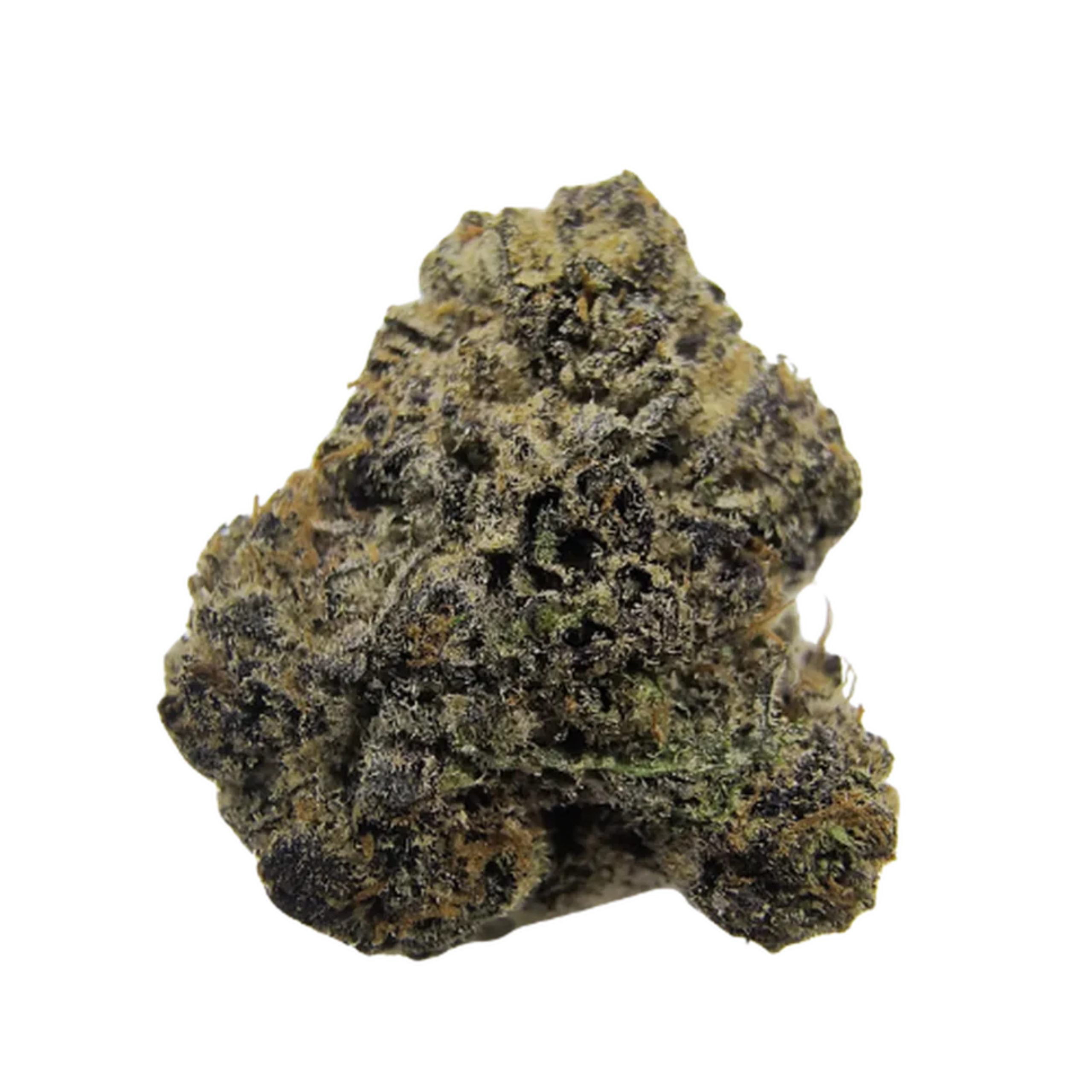 Dispensary in Austin TX | TerpHaus