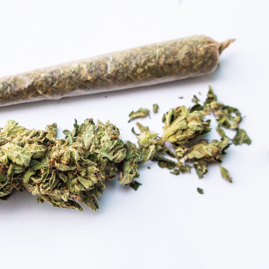 Dispensary in Austin TX | TerpHaus