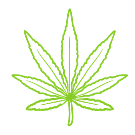 Dispensary in Austin TX | TerpHaus